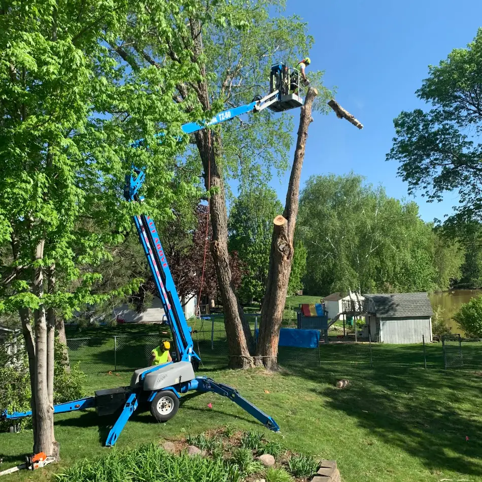 A Cut Above bucket lift lowering a cut branch during a tree removal near the water