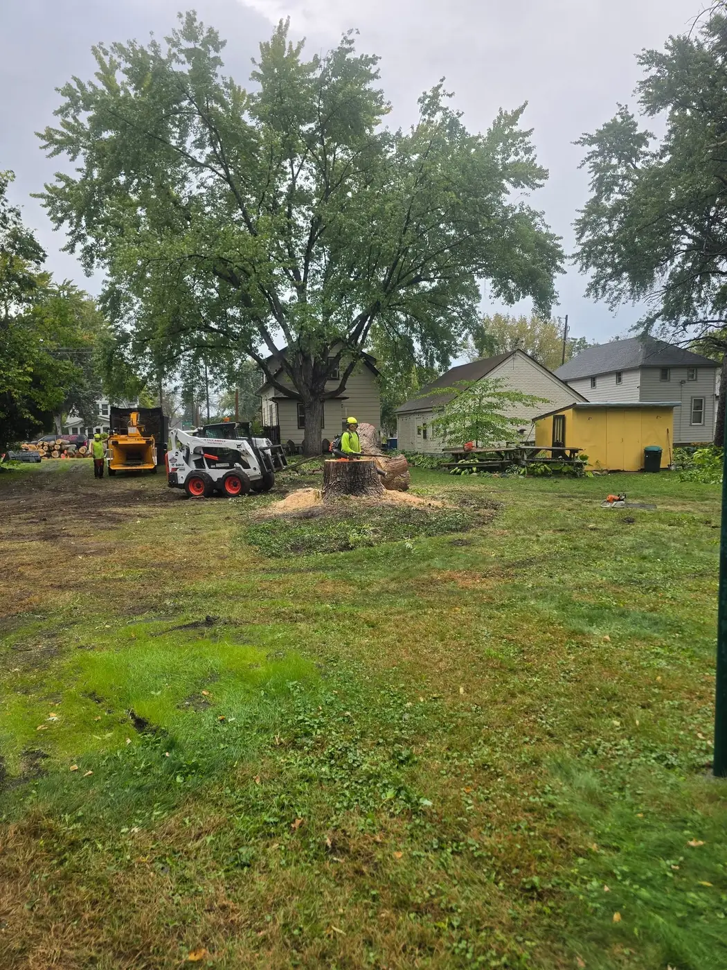 A Cut Above skid steer clearing a large tree removal in a residential backyard