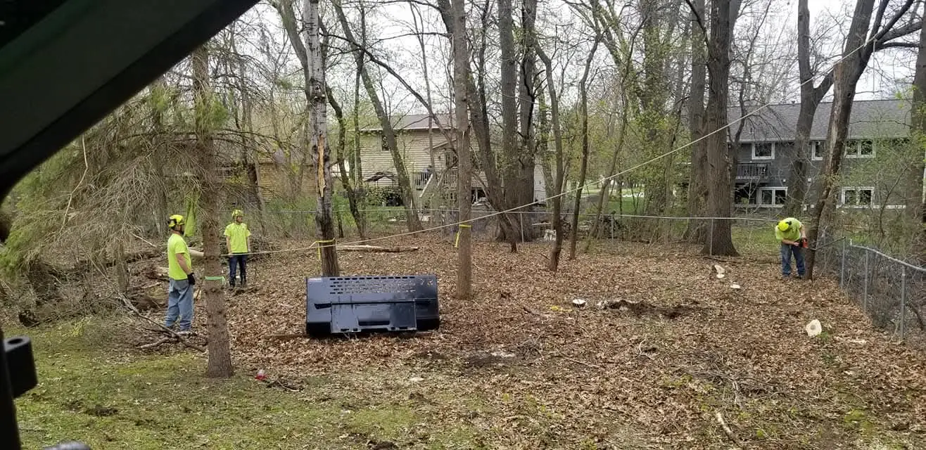 A Cut Above crew clearing trees and brush from a wooded lot