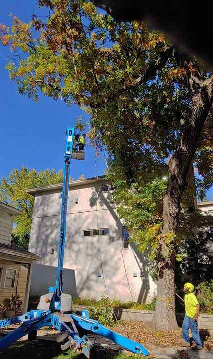 A Cut Above tree service crew at work in White Bear Lake MN