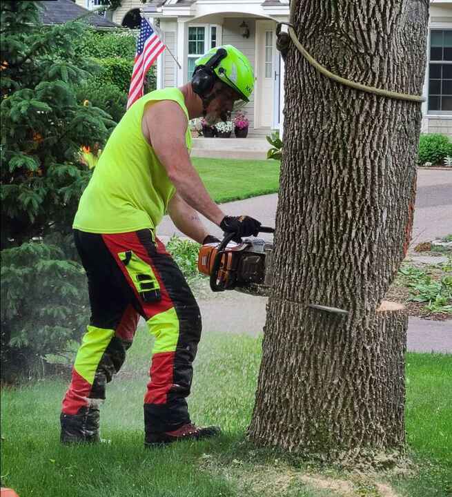 Mike, owner of A Cut Above Tree Service in White Bear Lake MN