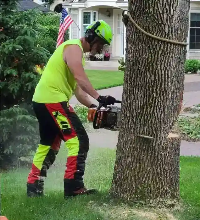 Mike, owner of A Cut Above Tree Service in White Bear Lake MN
