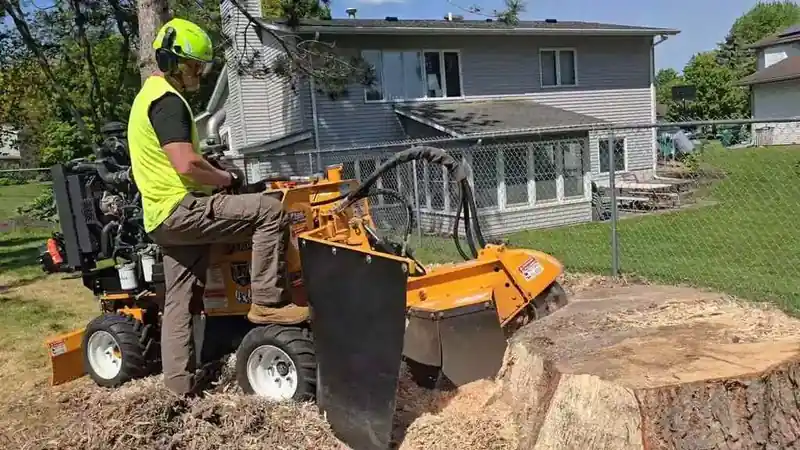 Stump grinding service in White Bear Lake